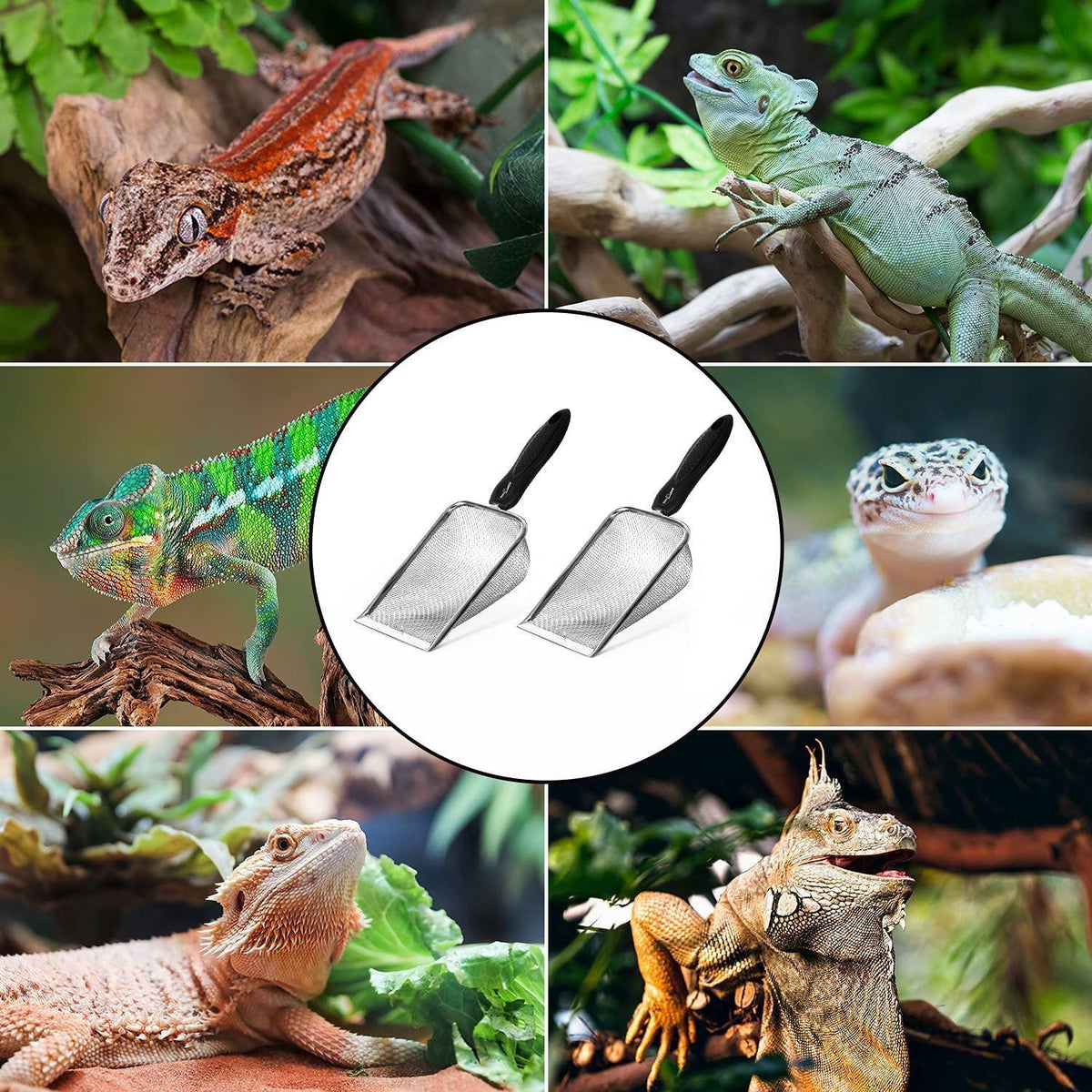 REPTI ZOO 2PCS Reptile Sand Fine Mesh Reptile Scooper Bearded Dragon Sand Shovel Terrarium Substrate Durable Litter Cleaner Corner Scoop Combo Set - REPTI ZOO