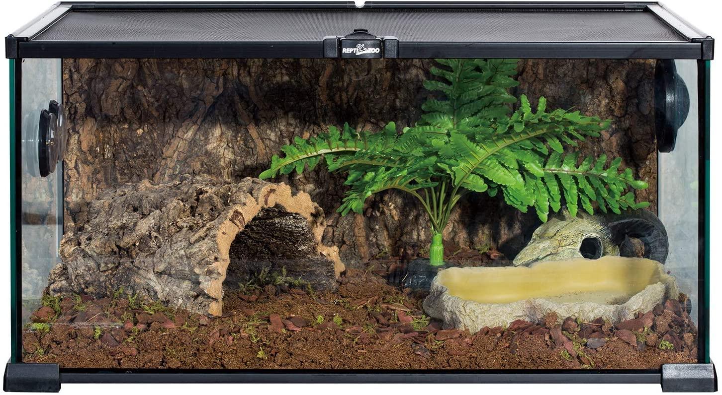 REPTIZOO Reptile Food Dish Terrarium Water Bowl Food Feeding Bowl for Reptile Amphibian Pets Medium Secondary image