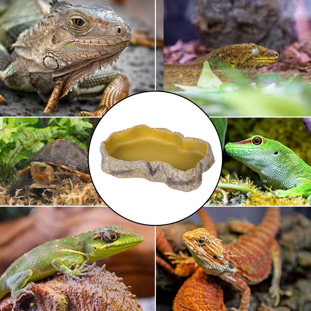 REPTIZOO Reptile Food Dish Terrarium Water Bowl Food Feeding Bowl for Reptile Amphibian Pets Medium(6.8" x 5" x 1.3") - REPTI ZOO