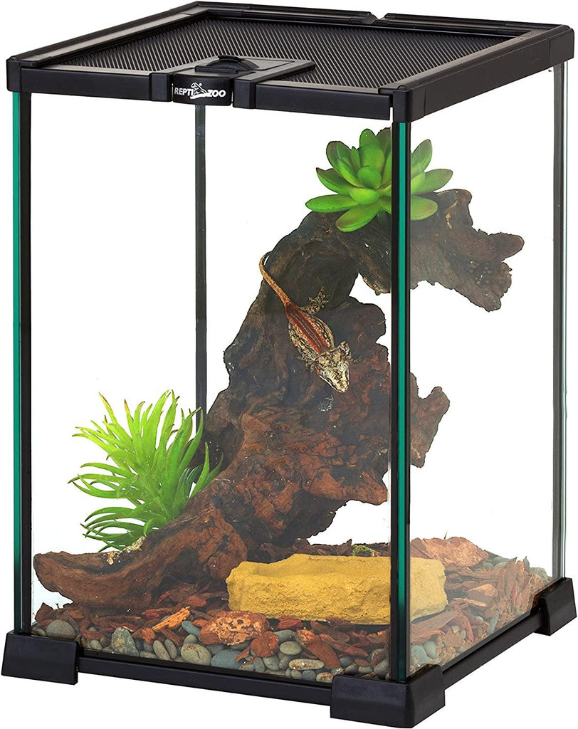 REPTIZOO Mini Reptile Glass Terrarium Tank 8" x 8" x 12" Full View Visually Appealing Top Feeding & Venlitation Small Reptile Glass Habitat - REPTI ZOO