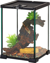 Load image into Gallery viewer, REPTIZOO Mini Reptile Glass Terrarium Tank 8&quot; x 8&quot; x 12&quot; Full View Visually Appealing Top Feeding &amp; Venlitation Small Reptile Glass Habitat - REPTI ZOO