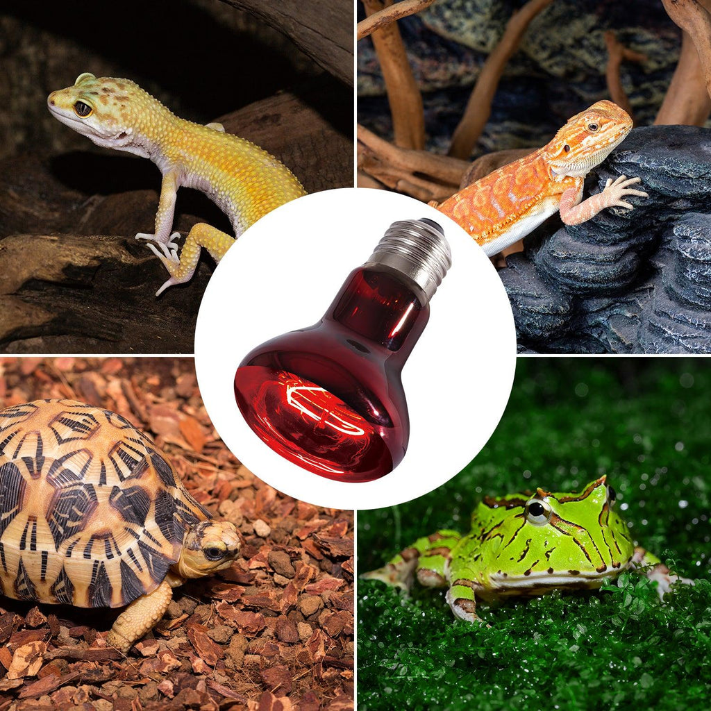 REPTIZOO Reptile 2PCS 110V 75W Night Infrared Heating Spot Lamp for Reptile Pet - REPTI ZOO