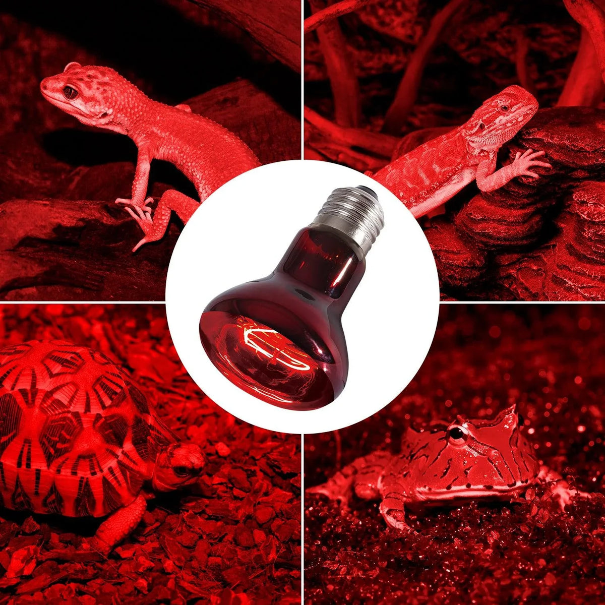 REPTIZOO Reptile 2PCS 110V 75W Night Infrared Heating Spot Lamp for Reptile Pet - REPTI ZOO