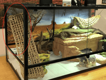 Load image into Gallery viewer, The Side Glass of RK0227 - REPTI ZOO