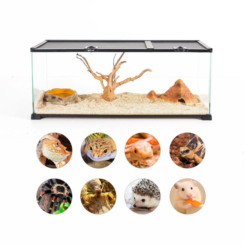 REPTI ZOO 18 Gallon Reptile Enclosures With Double Top Covers And Glass Sides - REPTI ZOO